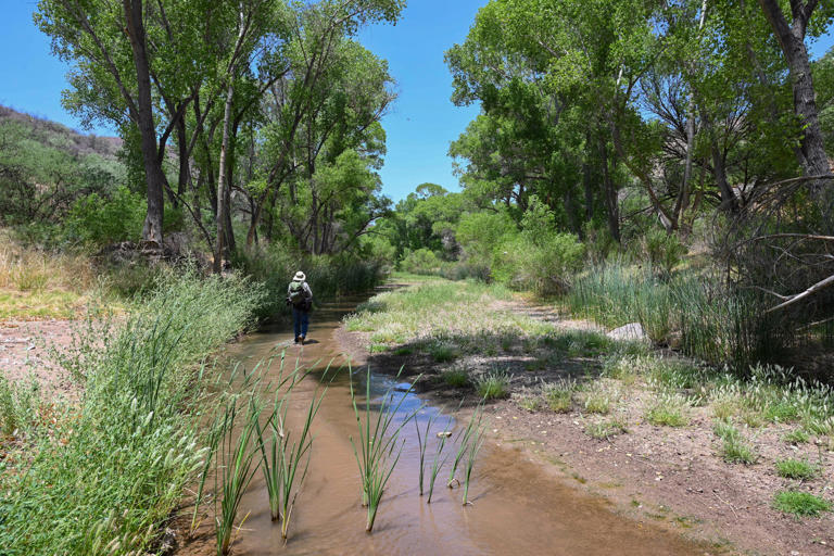 Arizona's San Pedro River runs dry for the second time in 122 years