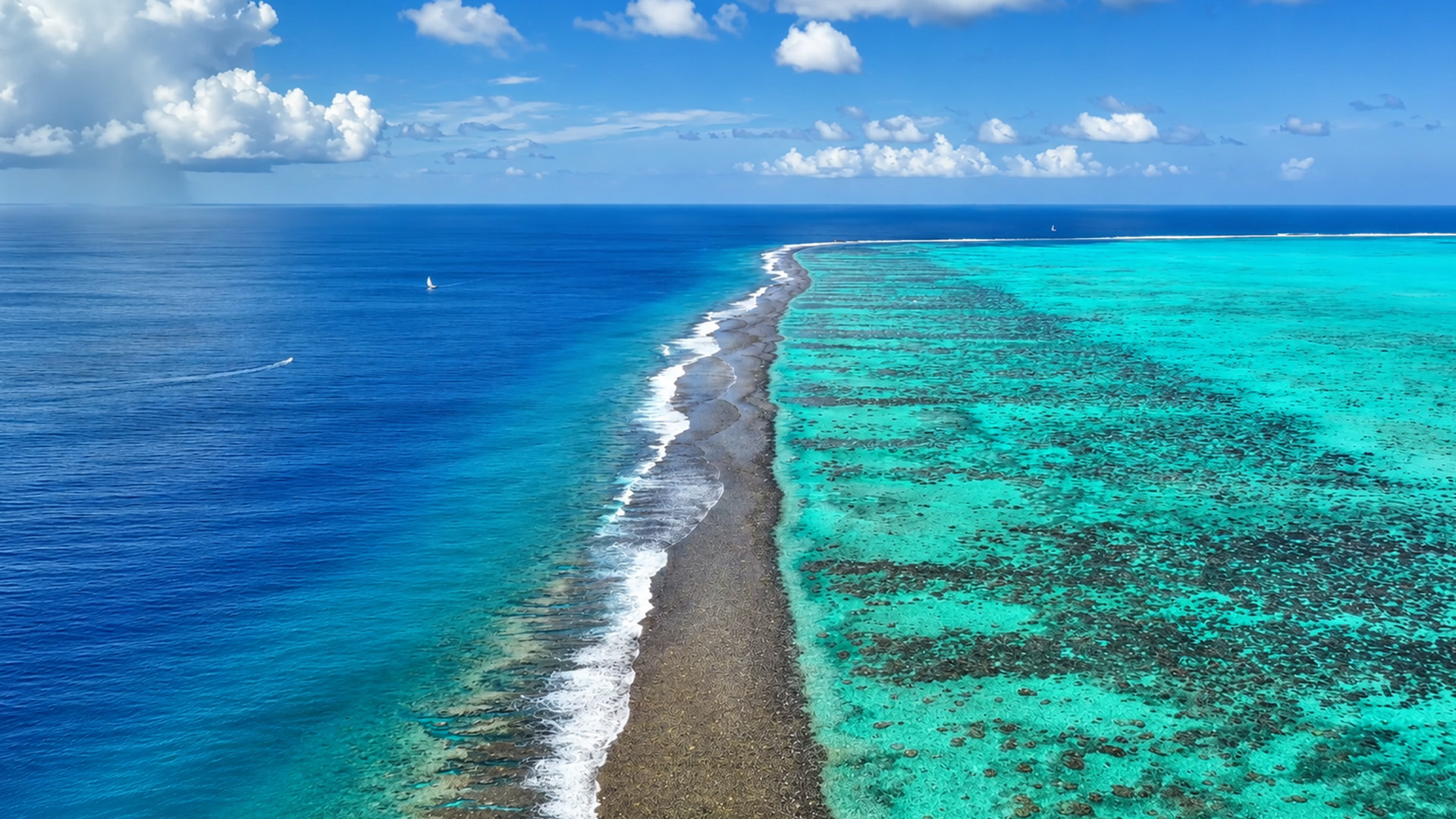 Why are these waters so different?
