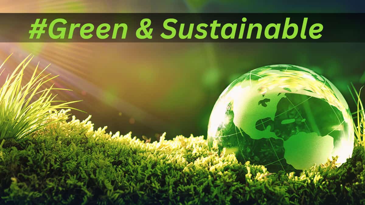 Which is the greenest & most sustainable country in the world? Check ...