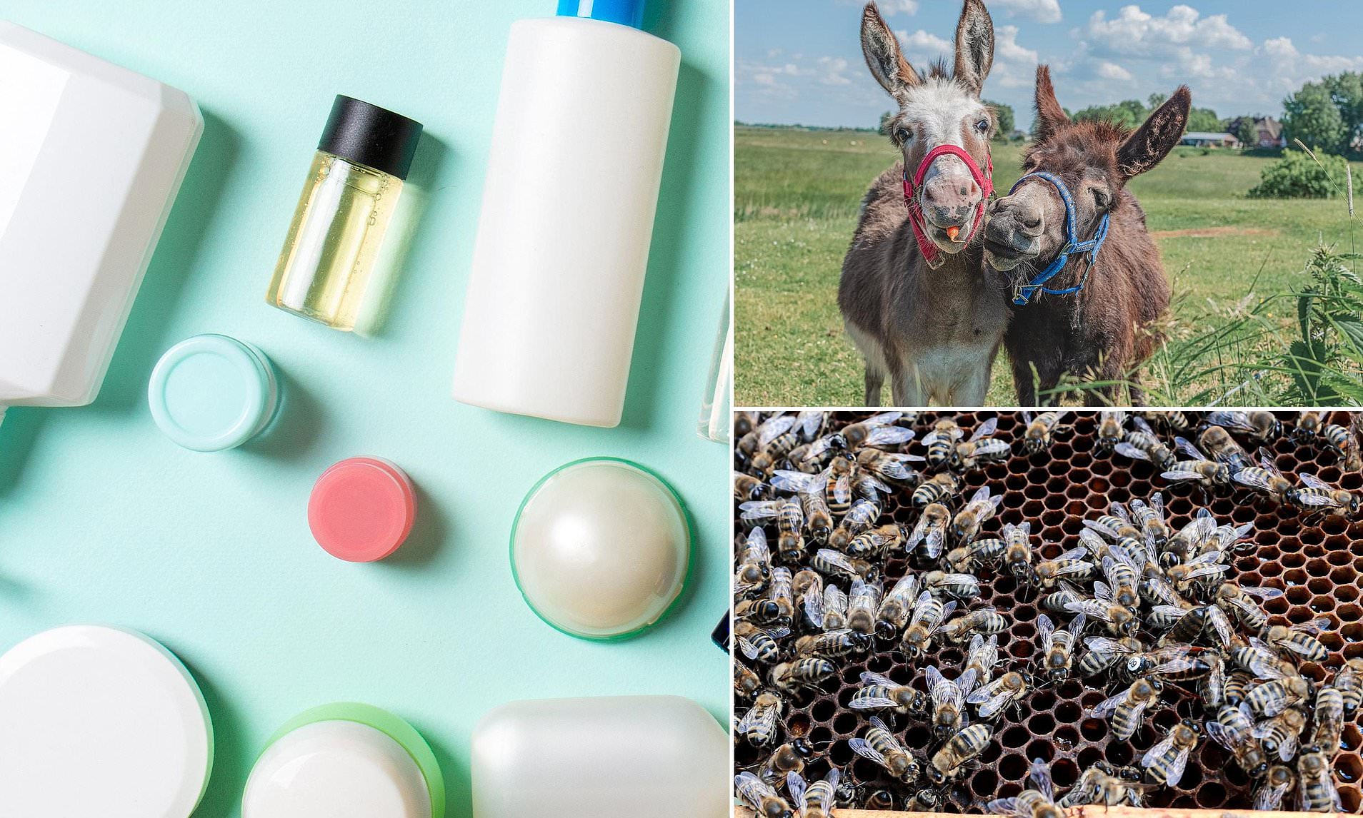 Is your collagen killing the planet? Inside the dark side of the wellness boom