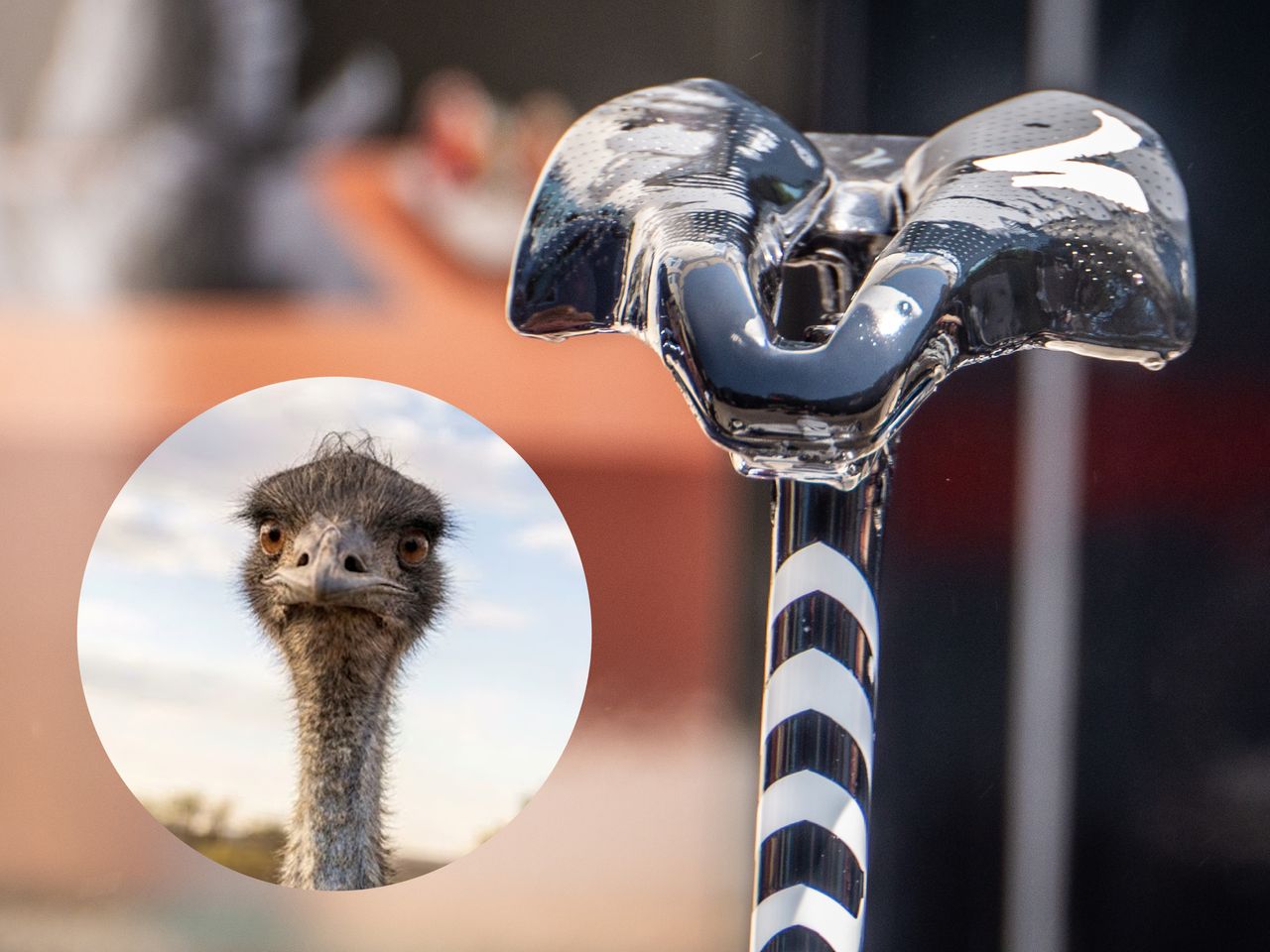 Tech randoms from the Tour de France – techy, silly and curious finds