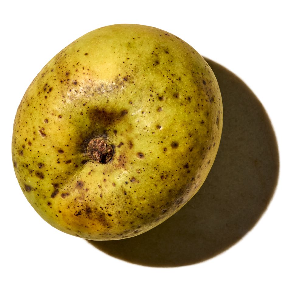 A single mango isolated on a white background