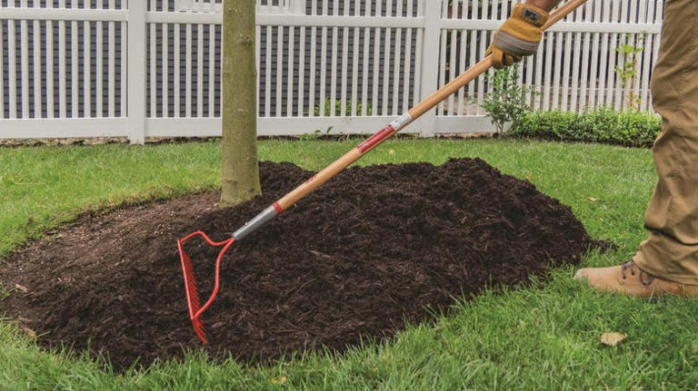 12 of the top Ace Hardware summer items you can buy