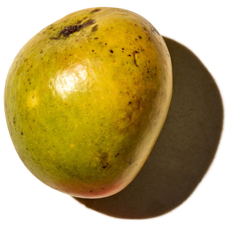 A single Alphonso mango casting a shadow