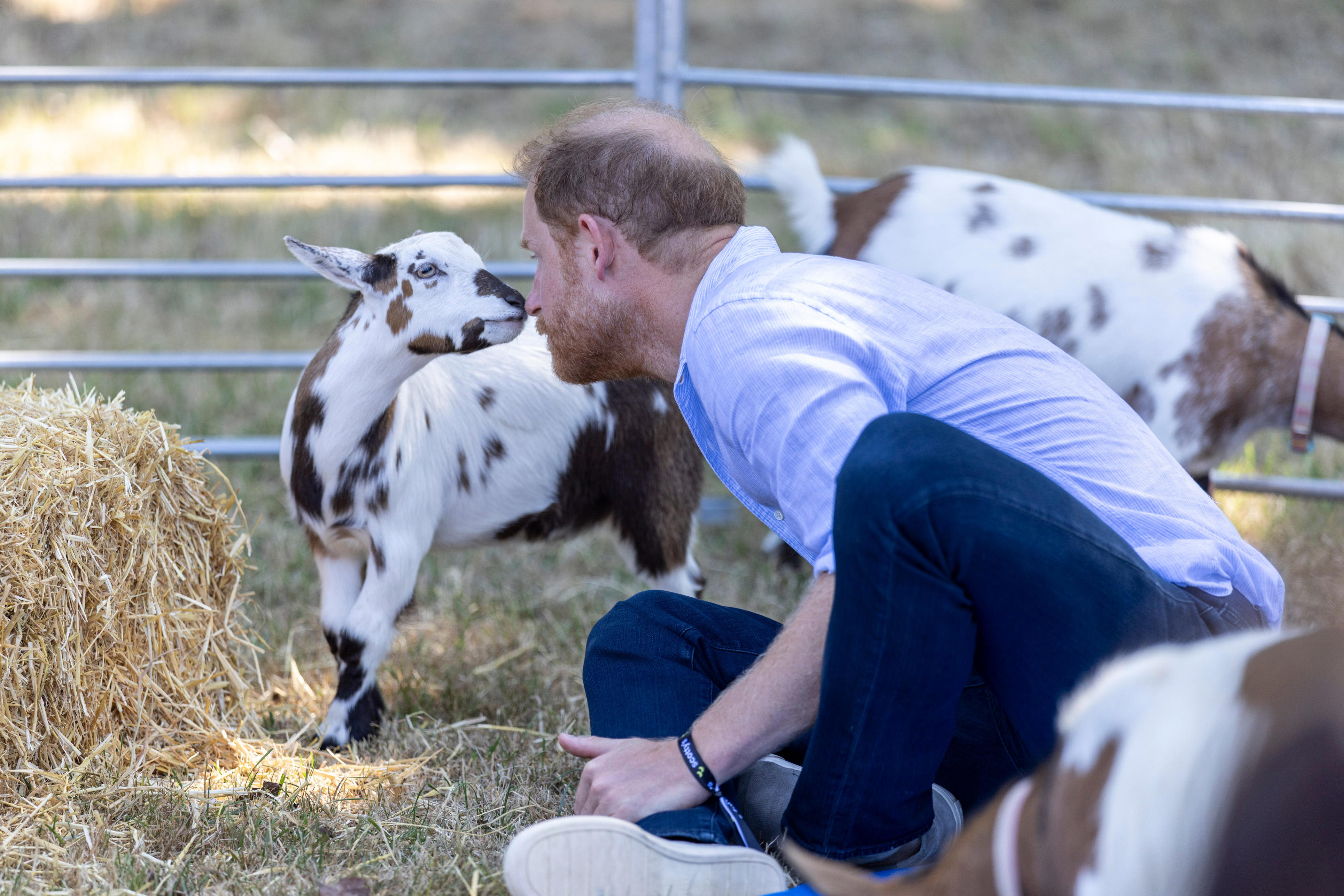 Prince Harry returns to UK – see his visit amid royal family tension