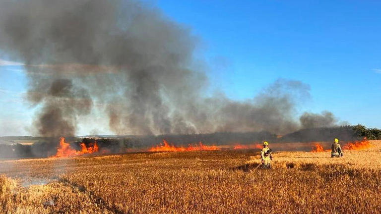 Farmers urged to make checks after field fires