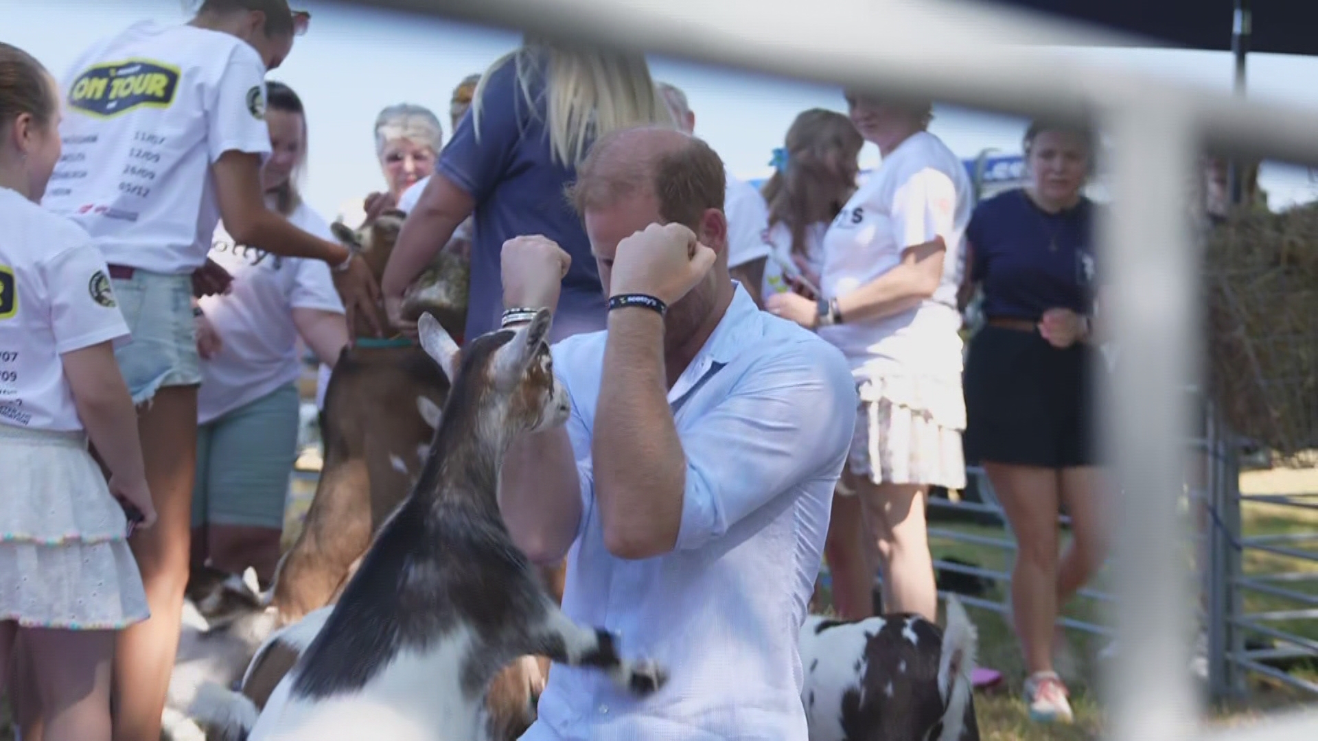 Prince Harry gets up close and personal with goats