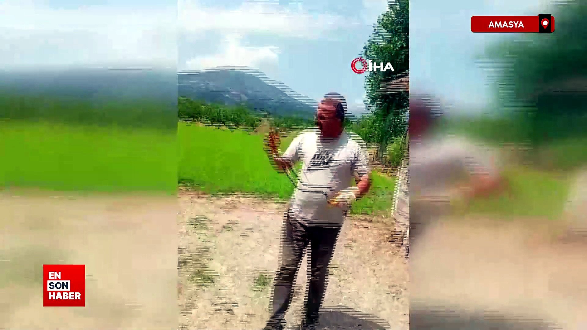 Amasya'da eve giren yılanı görevli boynuna sararak yakaladı