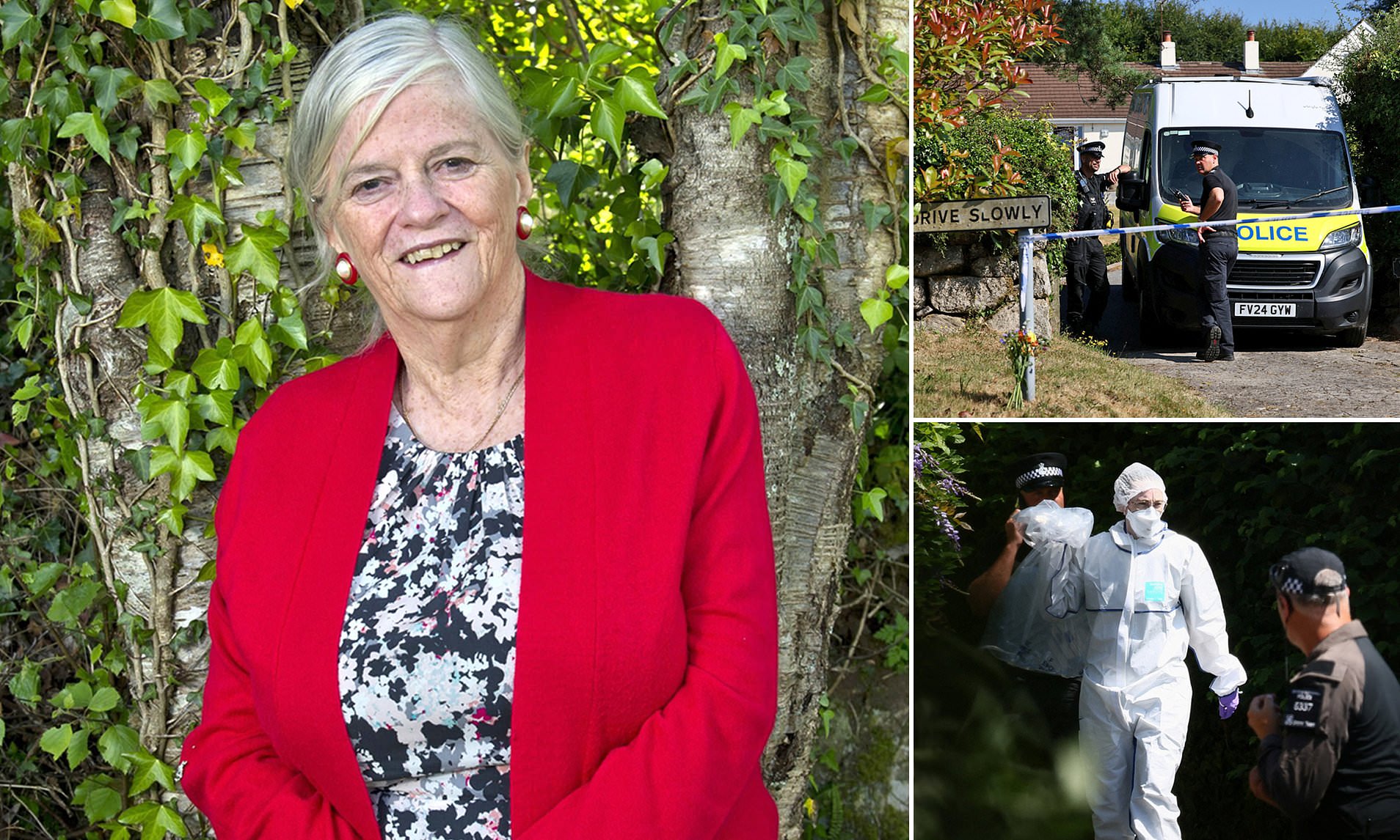Murder detectives launch new manhunt for Ann Widdecombe's killer after releasing 26-year-old