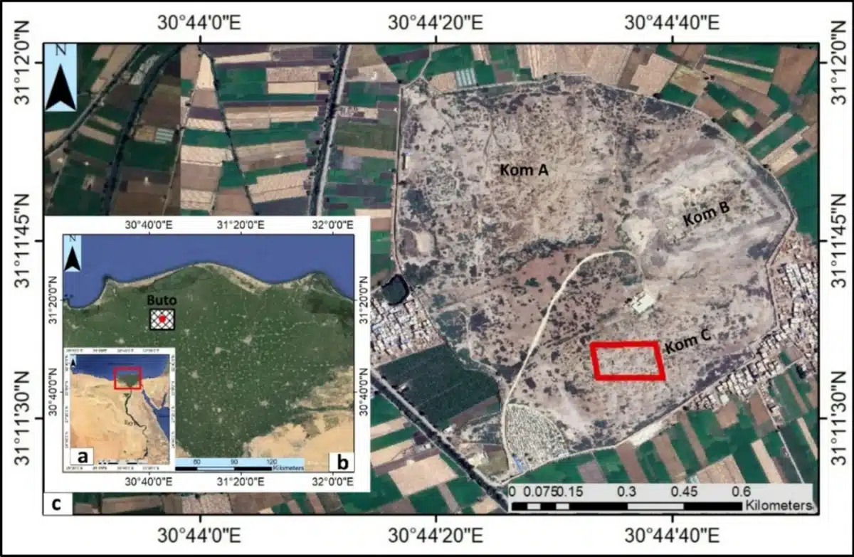 Satellite view of the ancient city of Buto and the study area at Kom C. Credit: Applied Geophysics