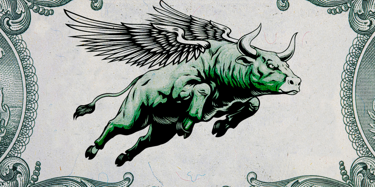 The US stock market is becoming 'too big to fail'