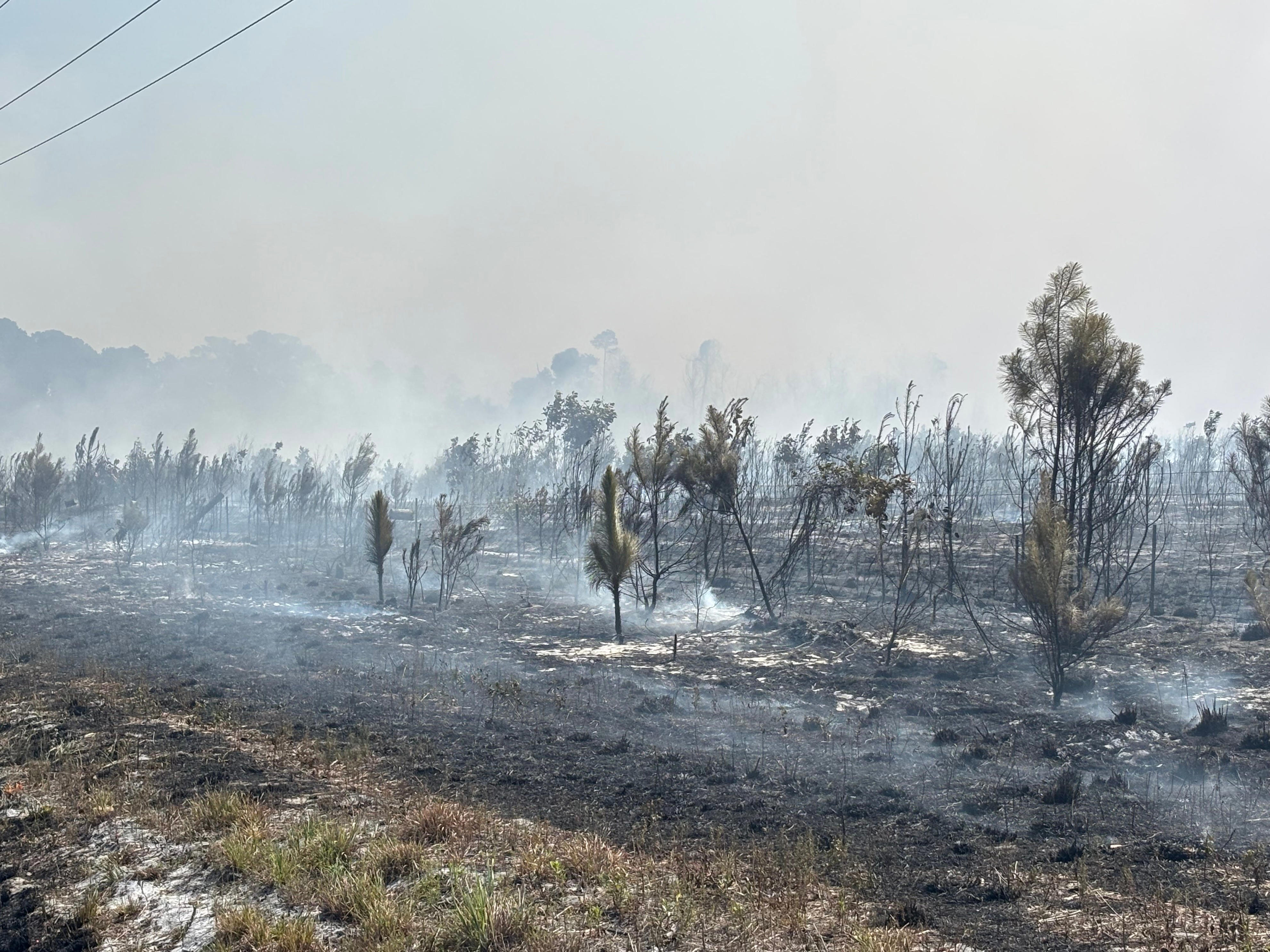 All roads reopened as rain helps fight Brunswick County wildfire