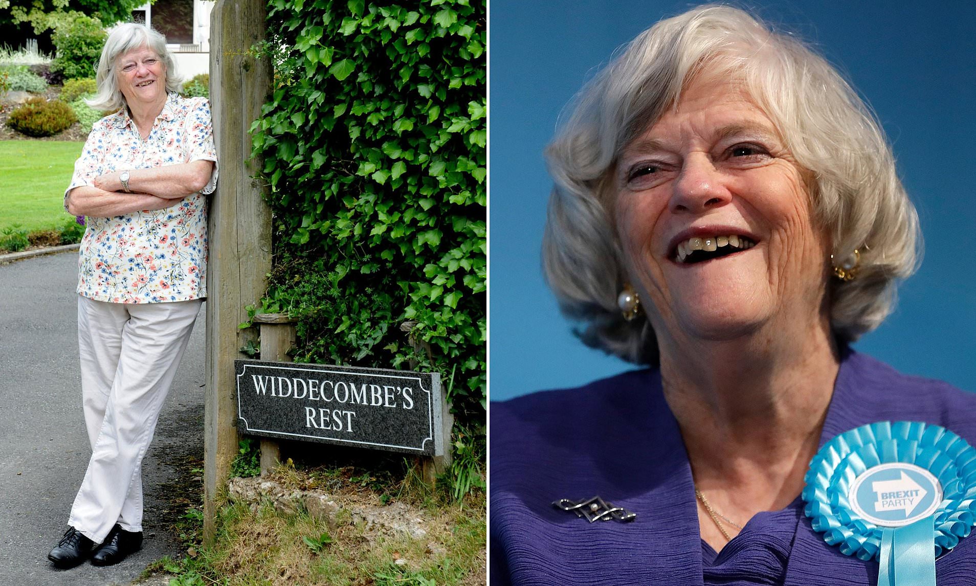 Ann Widdecombe's final texts revealed as messages show when she stopped replying before her 'murder'