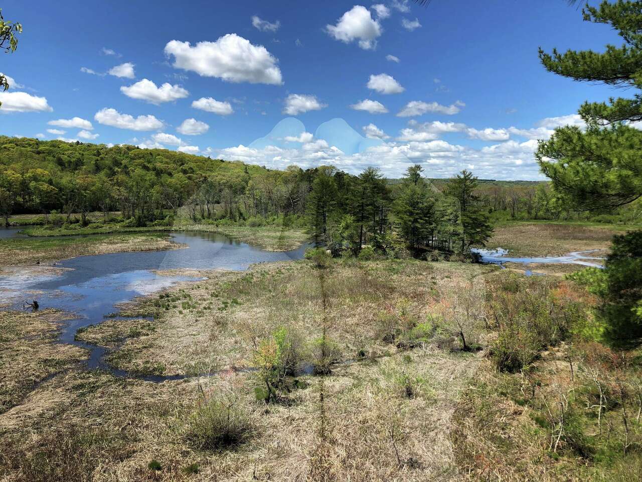 East Hampton man identified as jet ski operator killed in Connecticut ...