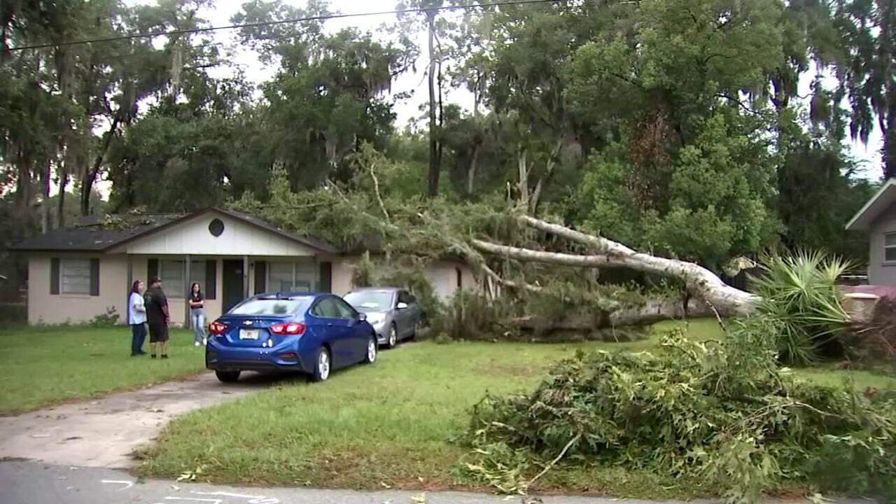 Storms knock down trees, leave hundreds without power in Ocala