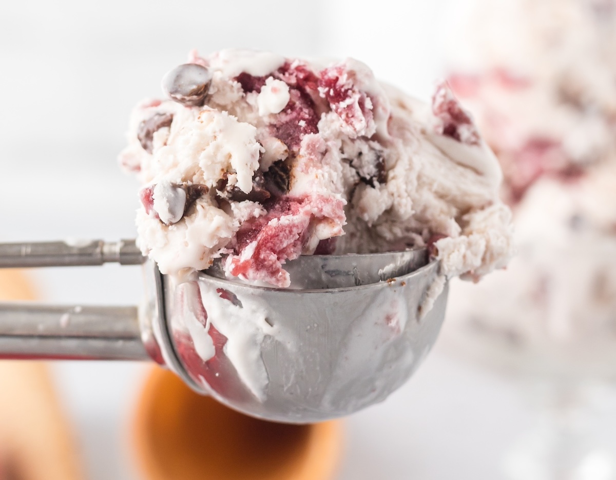 No Churn Ice Cream Recipes: 31 Flavors You Can Enjoy at Home