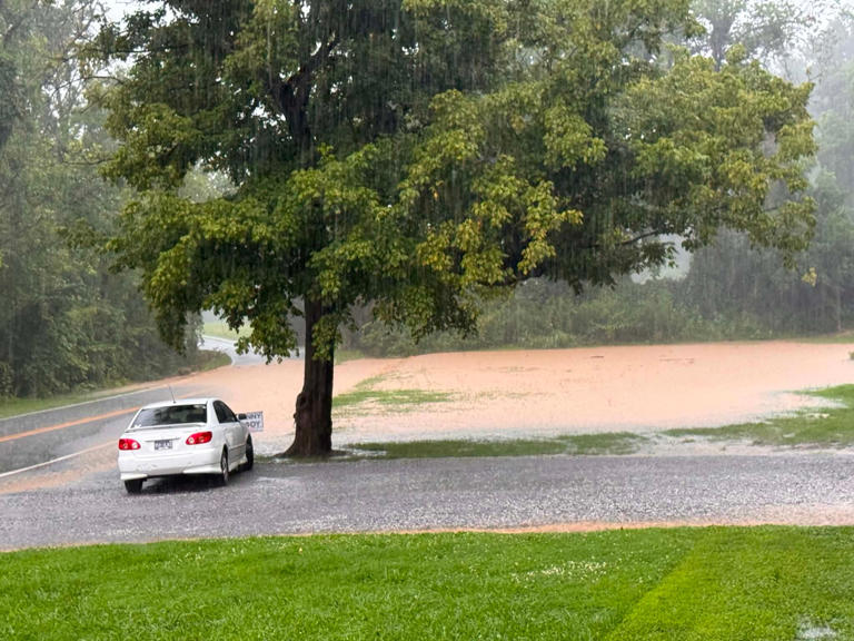 Flash flooding in East Tennessee: See pictures and videos