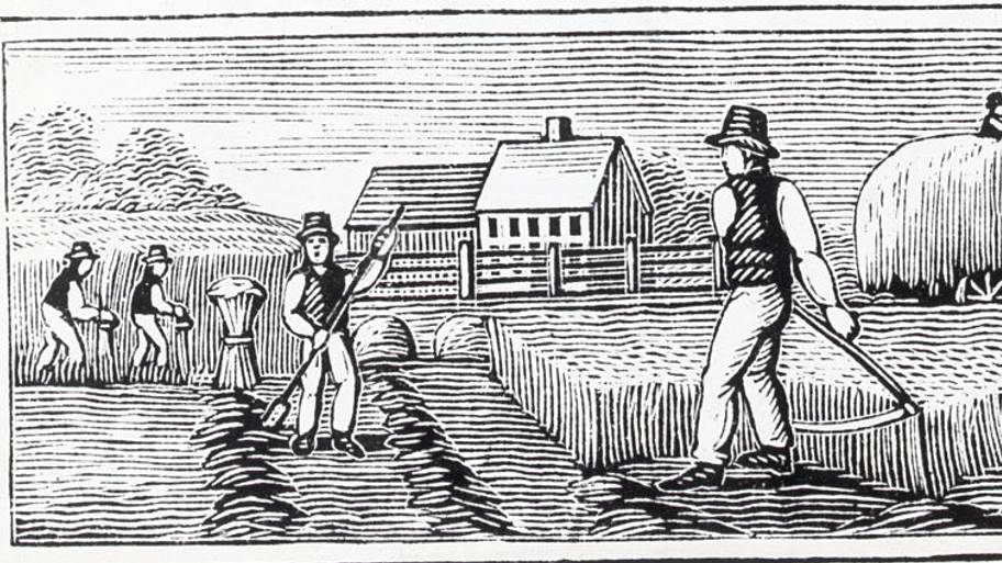 Farmers Work With Sickles, Hoes; Woodcut