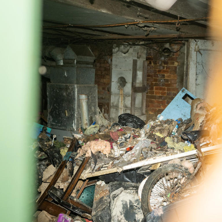 ohio-to-award-1m-to-assist-16-almost-feral-siblings-found-living-in