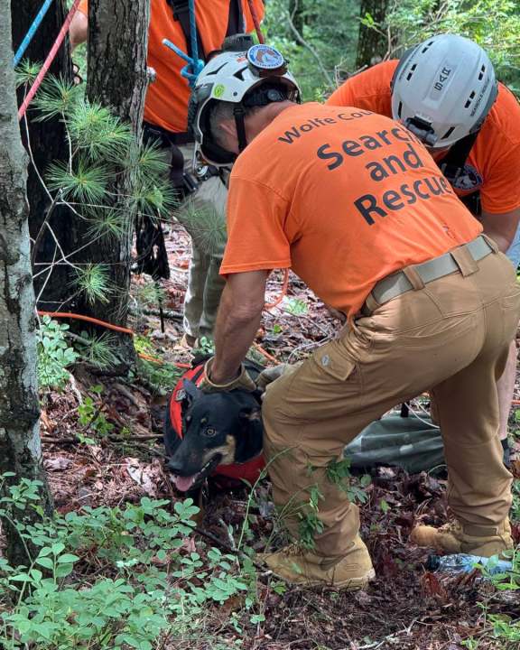 Missing dog rescued in Wolfe County after surviving cliff fall