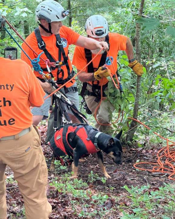 Missing dog rescued in Wolfe County after surviving cliff fall