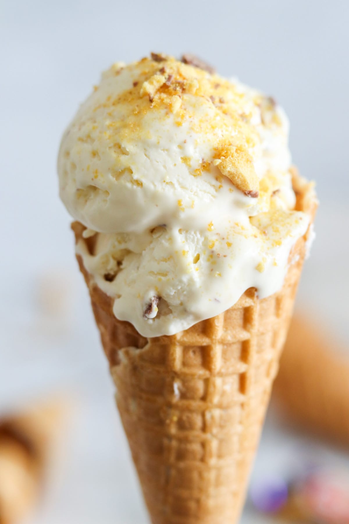 No Churn Ice Cream Recipes: 31 Flavors You Can Enjoy at Home
