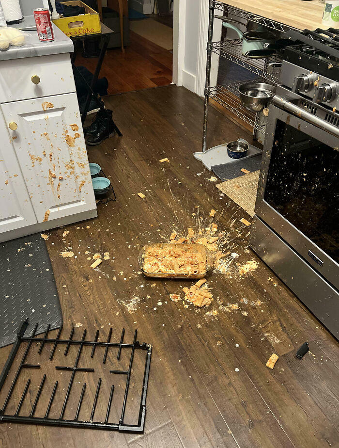 50 of the funniest cooking disasters you might feel bad for laughing at