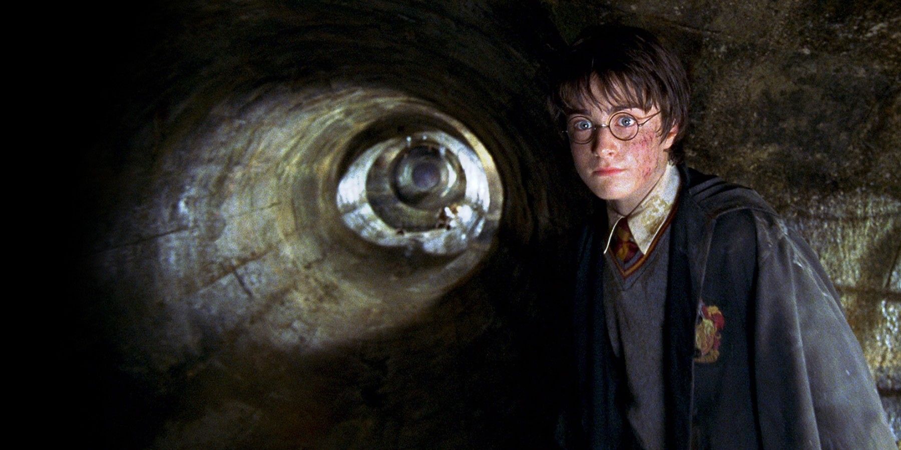 One Harry Potter Quote Became More Important With Every Book
