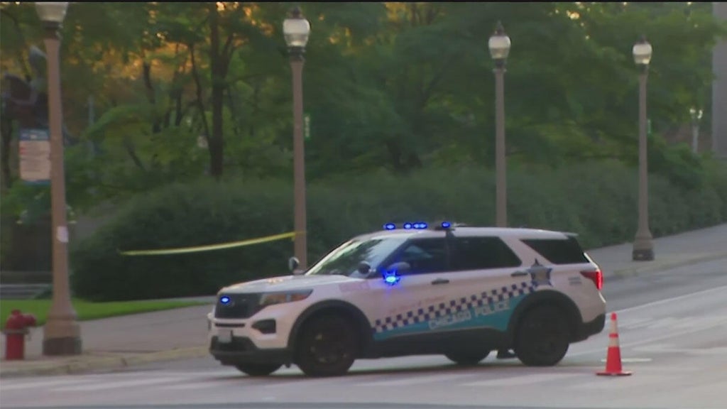 CPD: Officer fires gun at car during confrontation in Grant Park, no one struck