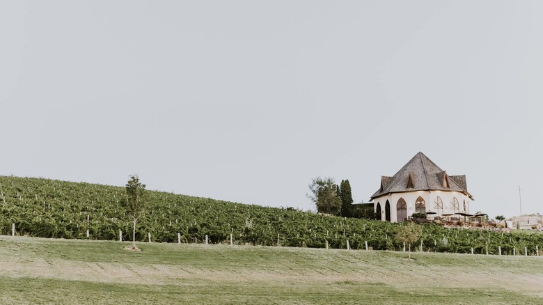 View of Ste. Chappelle Winery's octagonal gothic-style tasting room with vineyard views.