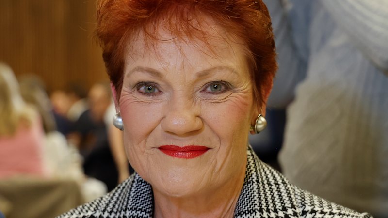 Has Pauline Hanson's wave of support finally subsided? An expert warns otherwise