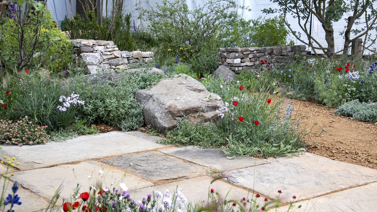 Drought-tolerant plants growing in a rock garden and along a stone path at the Chelsea Flower Show