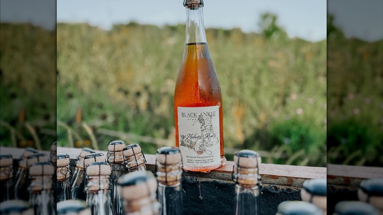 Chilled bottle of Black Ankle Sparkling Rosé perched atop a bin with other chilling bottles, with vineyards in the background.