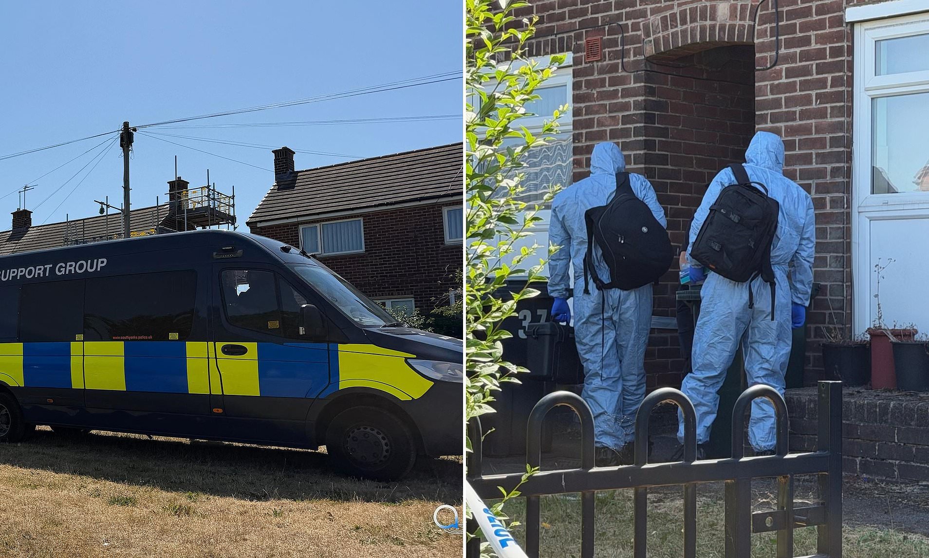 Man 'drove 300 miles with a foot-long pole to Ann Widdecombe's home' on day she was 'murdered'