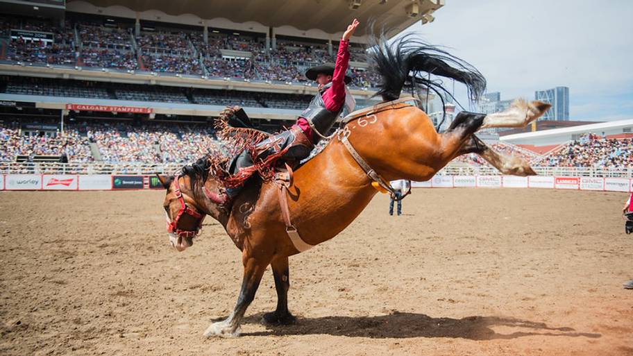 Shadbolt's NFR push: Bareback rider makes late-season surge with 3 straight wins