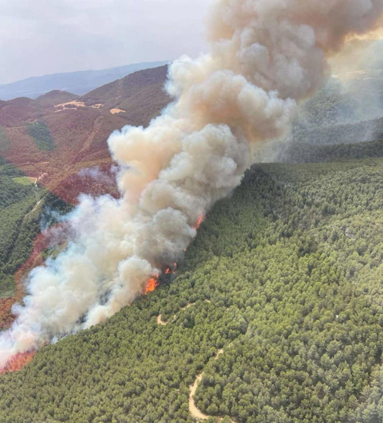 Un nuevo incendio en Aiguamúrcia vuelve a quemar el bosque y confina varios núcleos de población