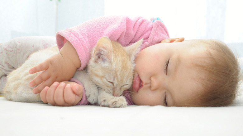 A baby cuddling a kitten