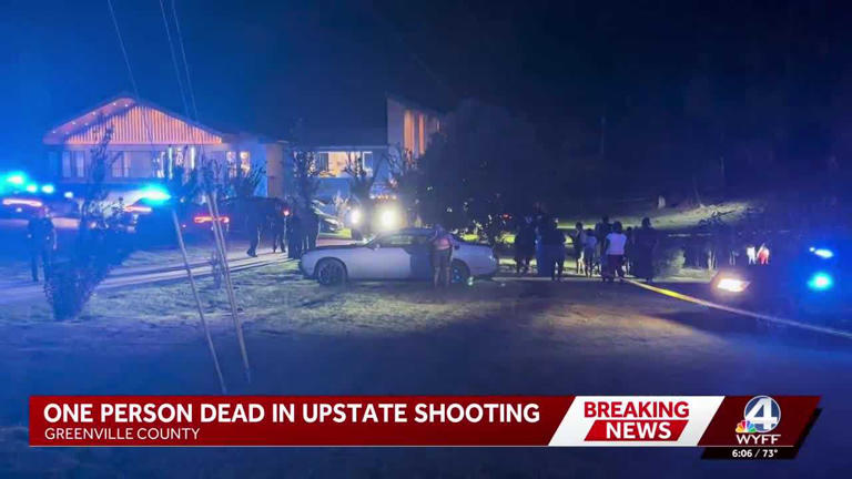 Man charged in deadly Greenville County birthday party shooting ...