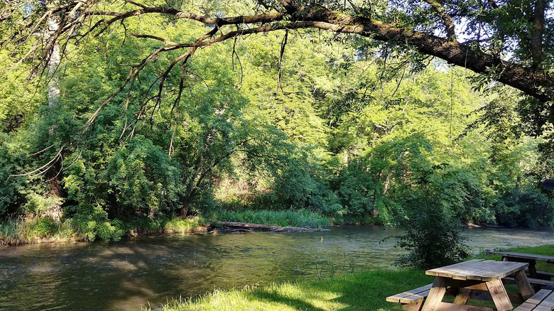 Picnic table overlooking the water at Apple River Family Campground in Somerset, Wisconsin