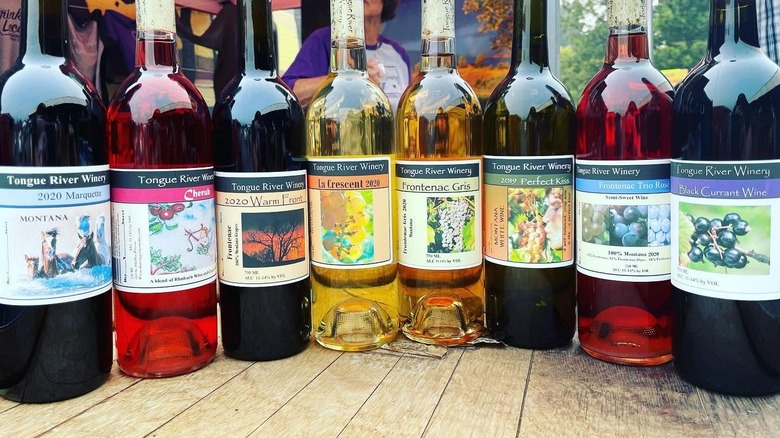 A lineup of Tongue River Winery's bottles on a wooden table outdoors.