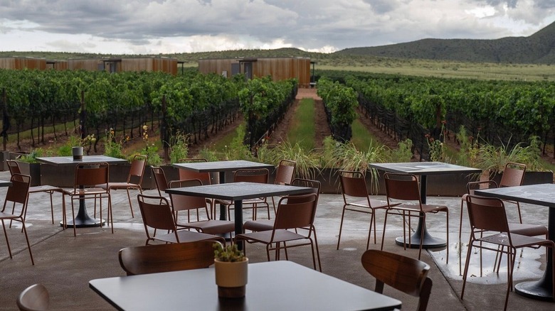 Rainy day view from Los Milics' tasting room in Elgin, a patio with modern tables and chairs in the foreground, with rows of grapes, the winery's rentable casitas, and foothills in the background.