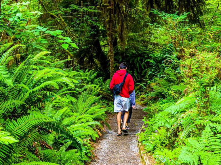 Only 4 of these rare waterfalls can be found in the US - including one ...
