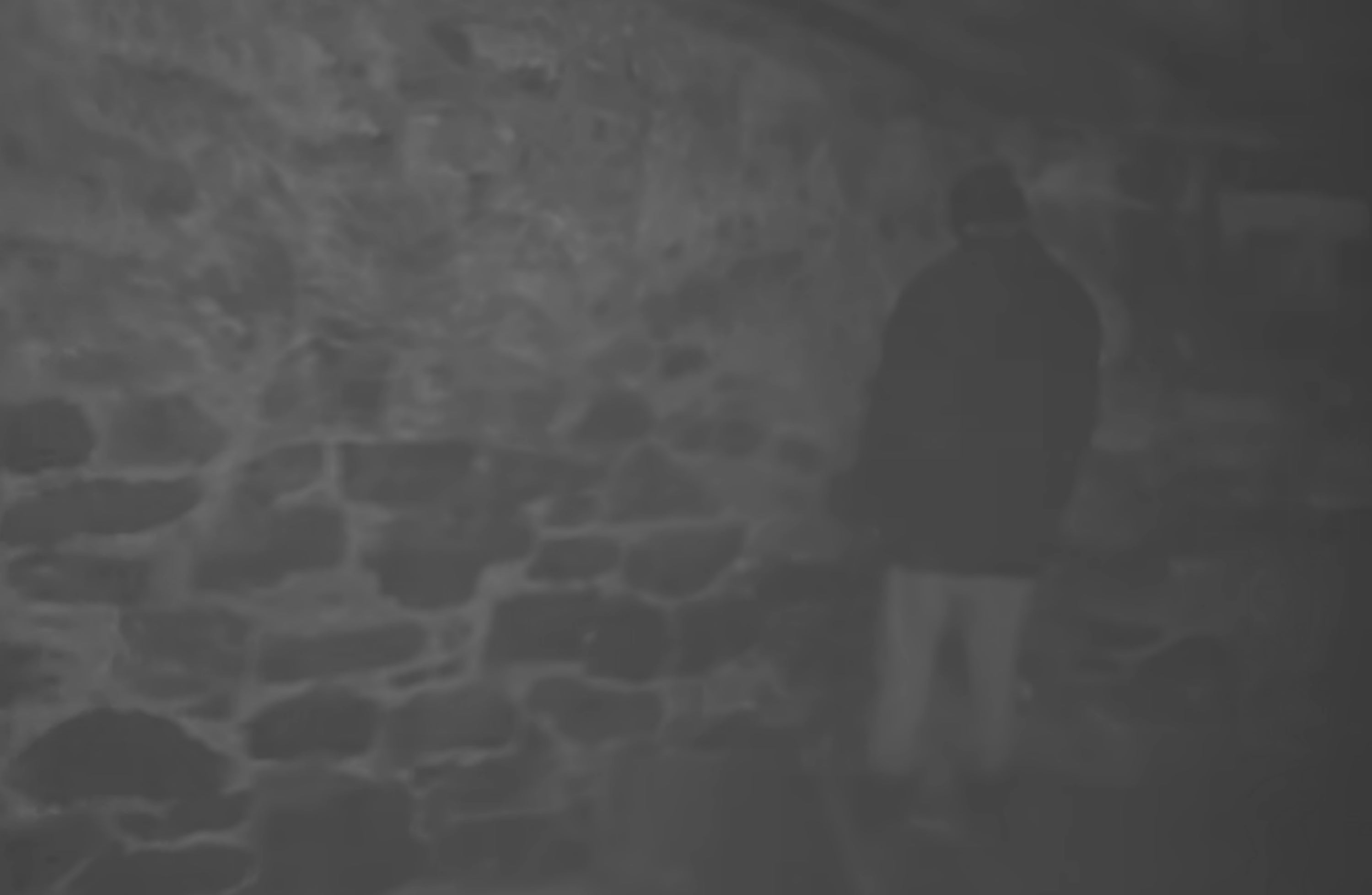 A person stands in a dimly lit stone-walled room, facing the wall, creating an eerie atmosphere