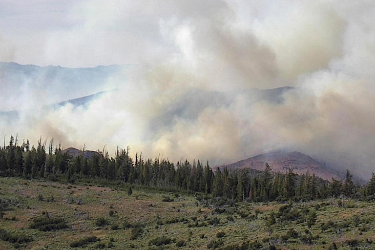 Elephant Fire explodes overnight as it spreads uncontrollably