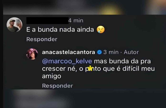 Ana Castela responde críticas de internauta (Imagem/Reprodução/Instagram)