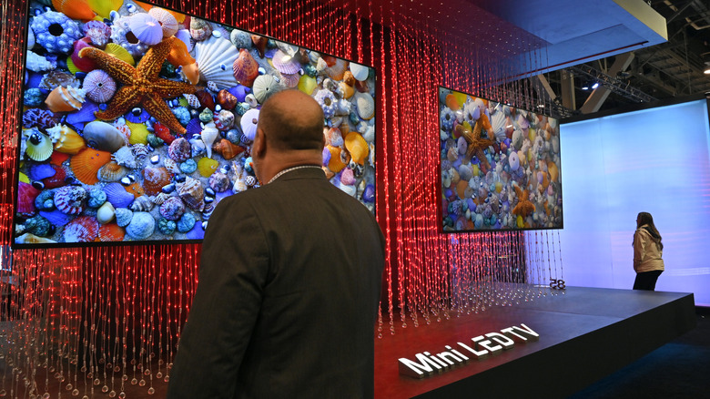 Mini-LED TVs on display at showcase