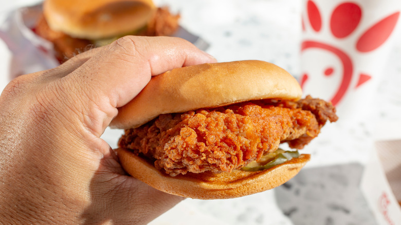 A person holds a Chick-fil-A Spicy Chicken Sandwich