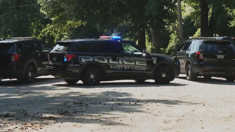 5 family members killed, 2 others injured in East St. Louis mass ...