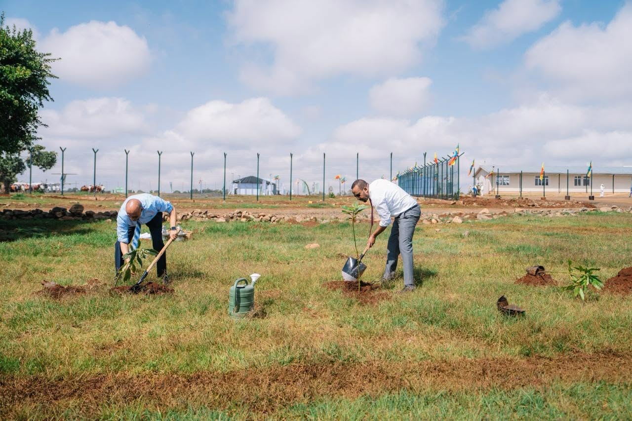 Operationalization of Nigus Tekle Haimanot Airport to spur trade ...