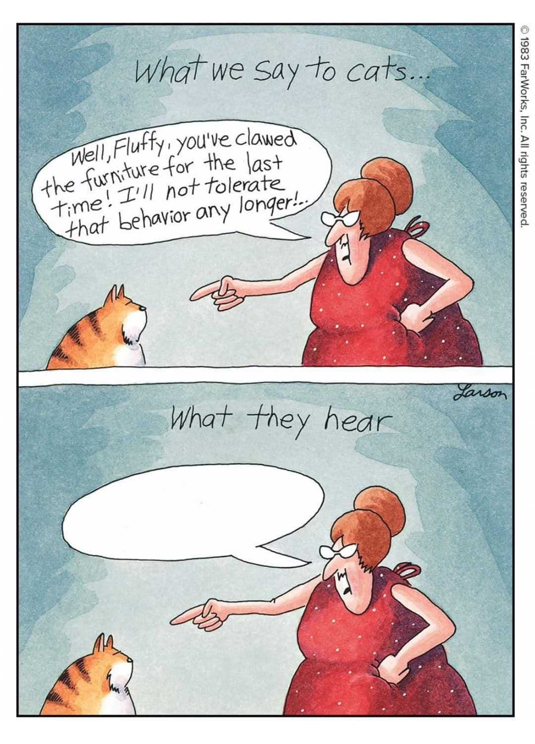 What we say to cats versus what they hear, which is nothing in The Far Side.